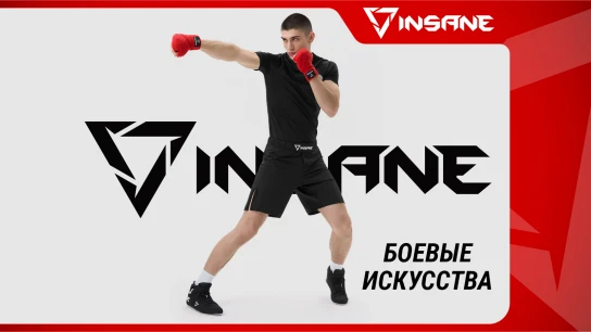 Боевые искусства